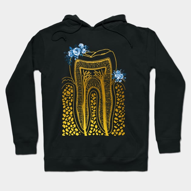 Tooth Structure Hoodie by erzebeth